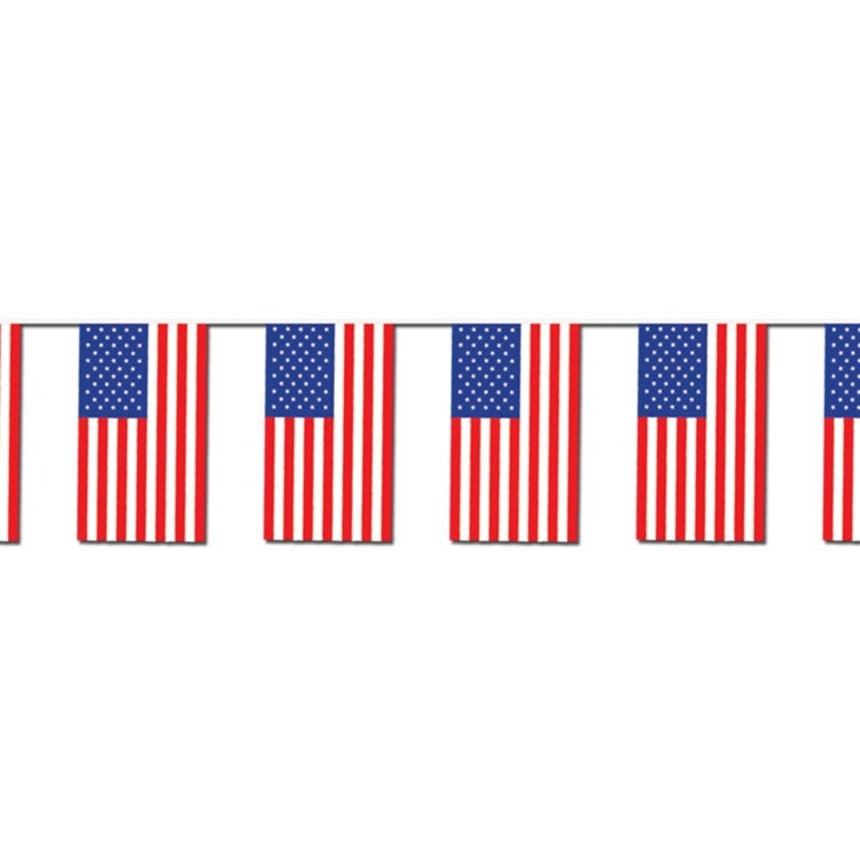 American Flag Banner N2