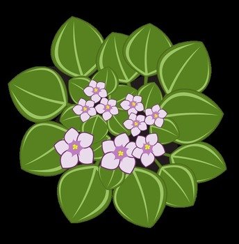 African Violet Flower Clip Art Free