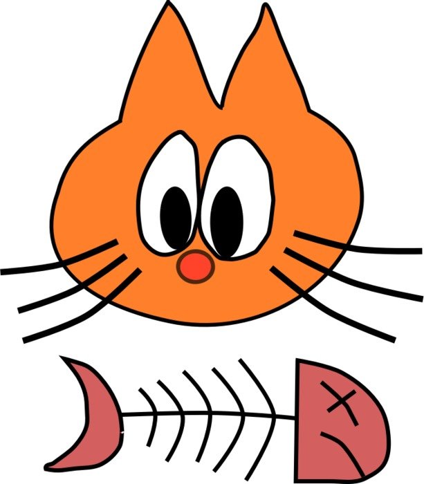Cat amp Fish Bone