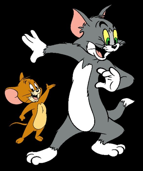 Tom And Jerry Cartoon N7
