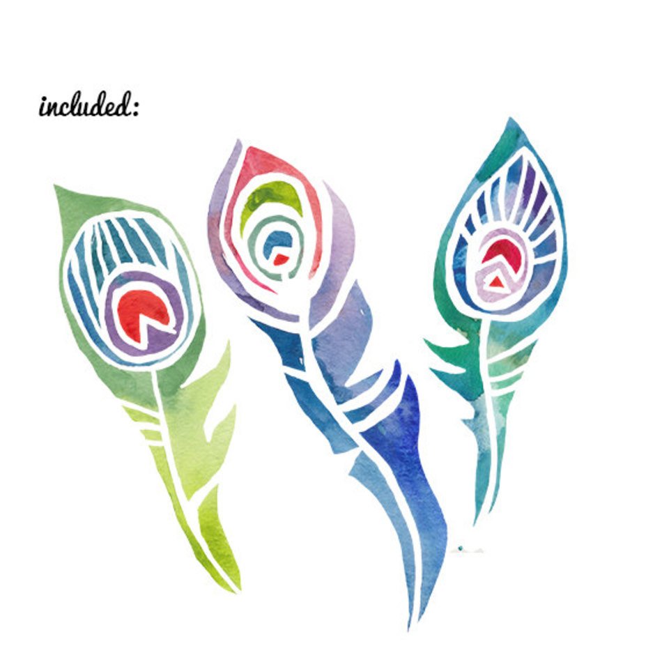Peacock Feather Clip Art N35