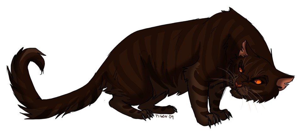 Warrior Cats Broken Star