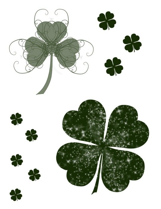 variety of shamrock in the picture