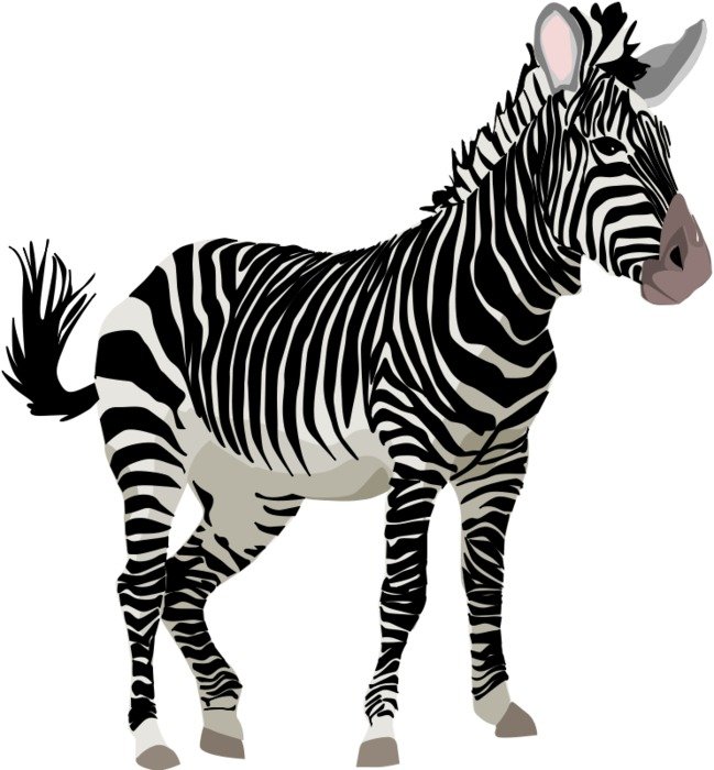 image of zebra in photoshop