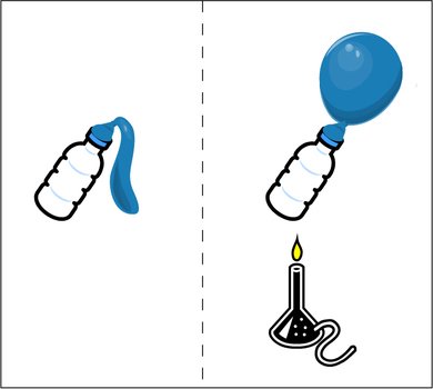 hot air balloon N20