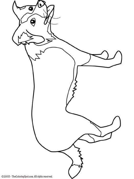 Border Collie Dog Coloring Pages