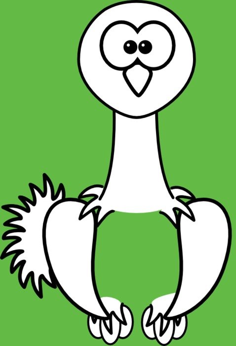 bird on green as illustration