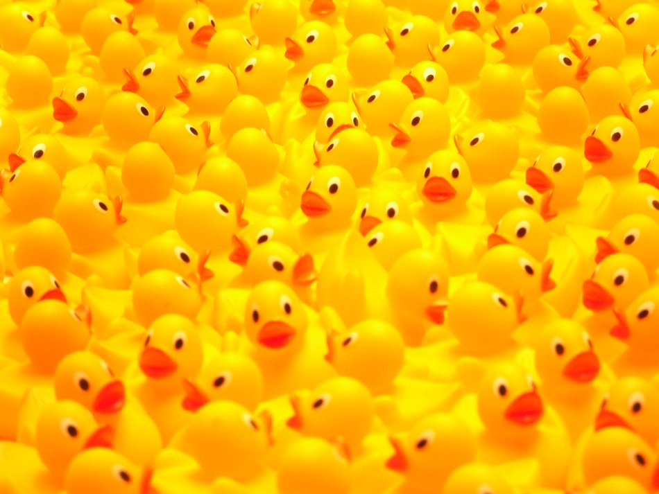 A lot of the colorful rubber ducks clipart