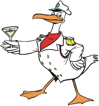 Cartoon Seagull N3