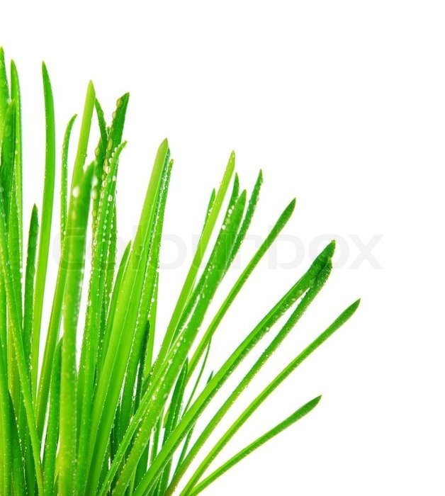 Clipart of Greengrass