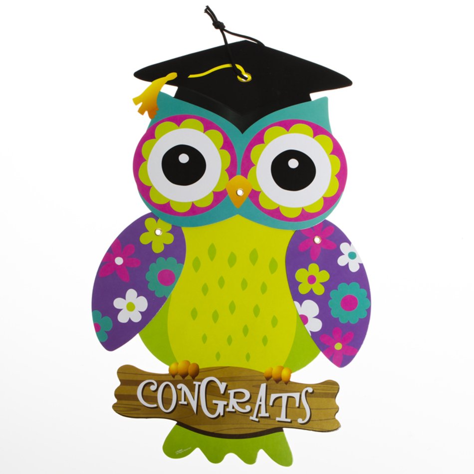 Owl Graduation Decorations