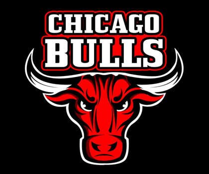 Chicago Bulls Logo N12