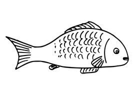 Fish Coloring Page drawing
