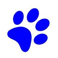blue dog footprint on white background