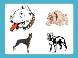 Dog Vector drawing