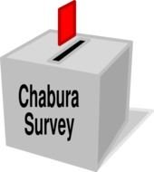 Survey Clip Art N25