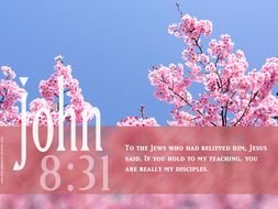 Bible Verse Quotes About Life