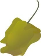 green pepper sketch