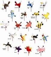 different birds as graphic elements for clipart