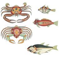 Free Clip Art Renards Fanciful Fish And Crabs Haeckels Based