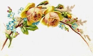 Yellow Roses Flower Border Clip Art drawing