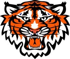 Tiger Head Mascot Logo