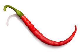 red chili pepper as picture for clipart