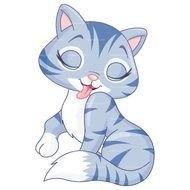 picture of a cute blue cat