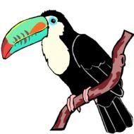Toucan Clip Art N23