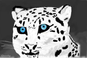 Snow Leopard Drawings
