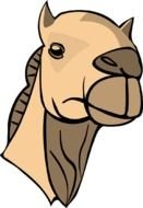 Camel Face Clip Art drawing