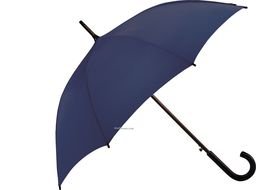 Ä°llustration of the Umbrella