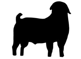 black silhouette of a goat on a white background