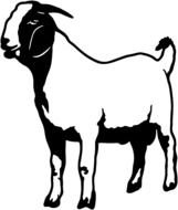 Ä°llustration of Boer Goat Silhouette