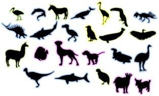 black silhouettes of various animals