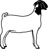 drawn goat with a black head