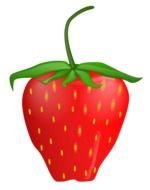 Strawberry as a graphic illustration