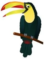 drawn toucan with a large beak