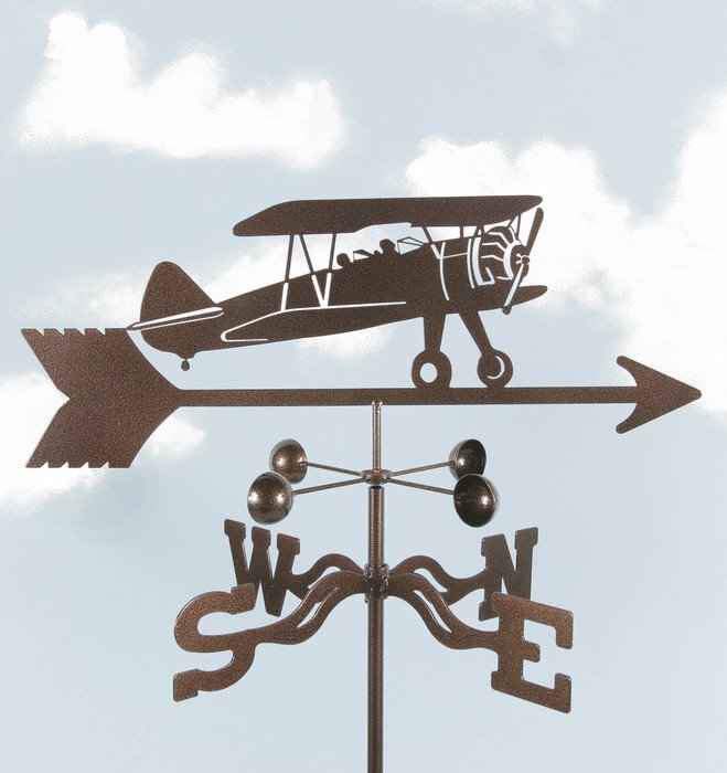Bi Wing Plane