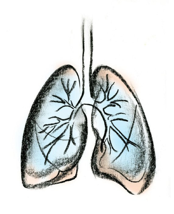 Ä°llustration of Cartoon Lungs