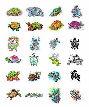 Turtle Tattoo Drawing Designs