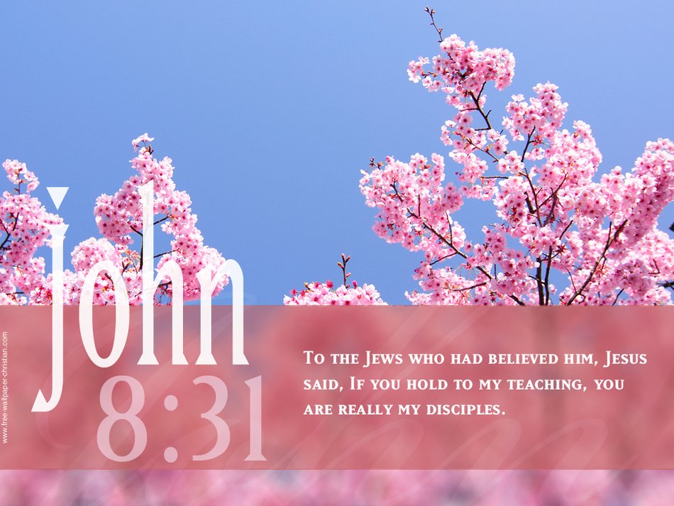 Bible Verse Quotes About Life