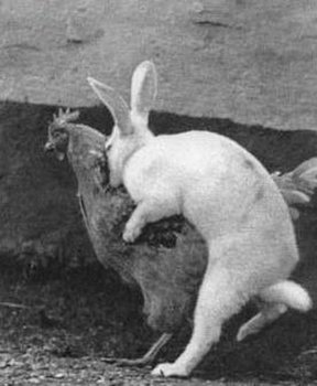 How Easter Eggs Are Made