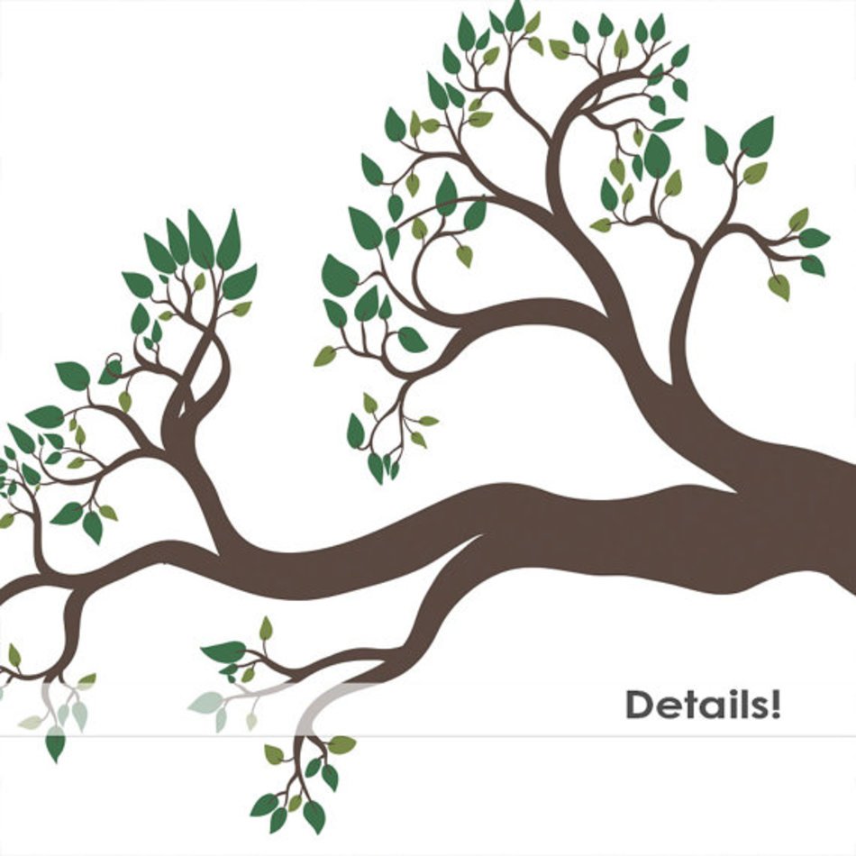 Bird Nest Pine Tree Clip Art