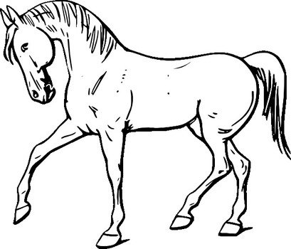 Horse Animal Coloring Pages