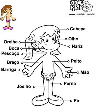 Partes Do Corpogif