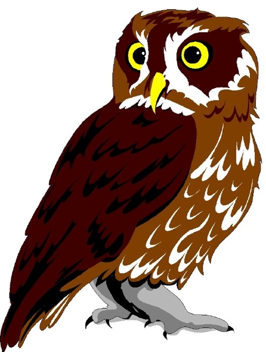 Free Owl Clipart