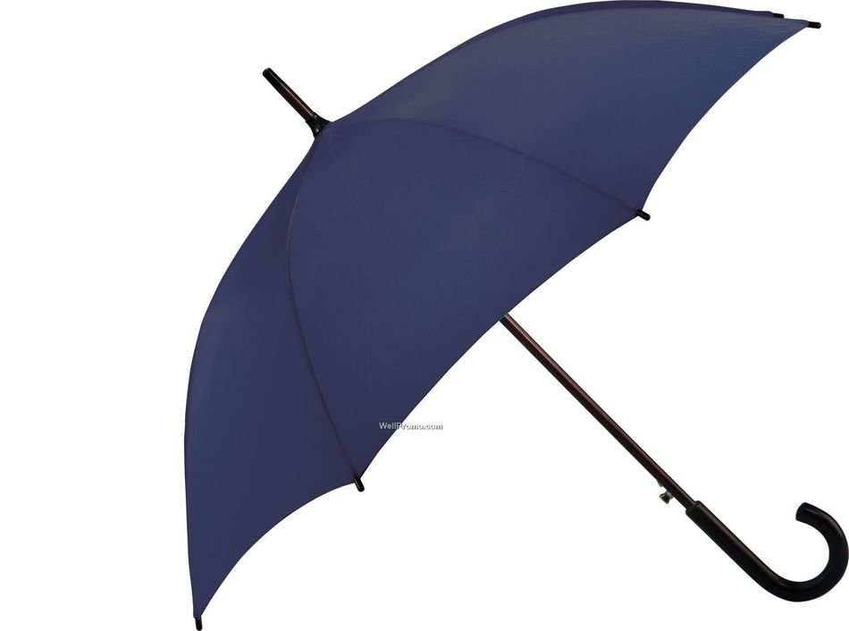 İllustration of the Umbrella