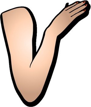 Arms And Hands Clip Art N6