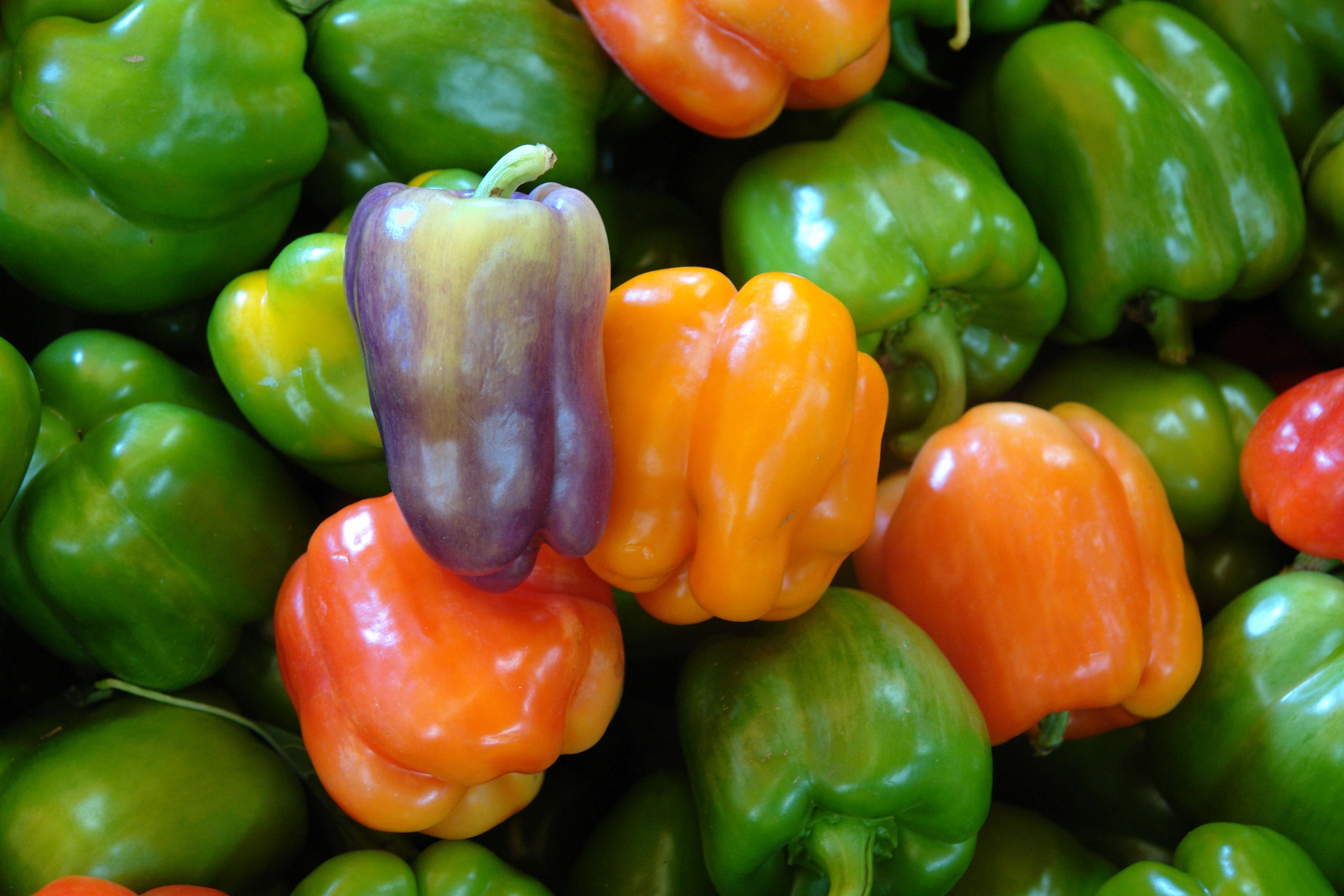 Peppers green and red free image download